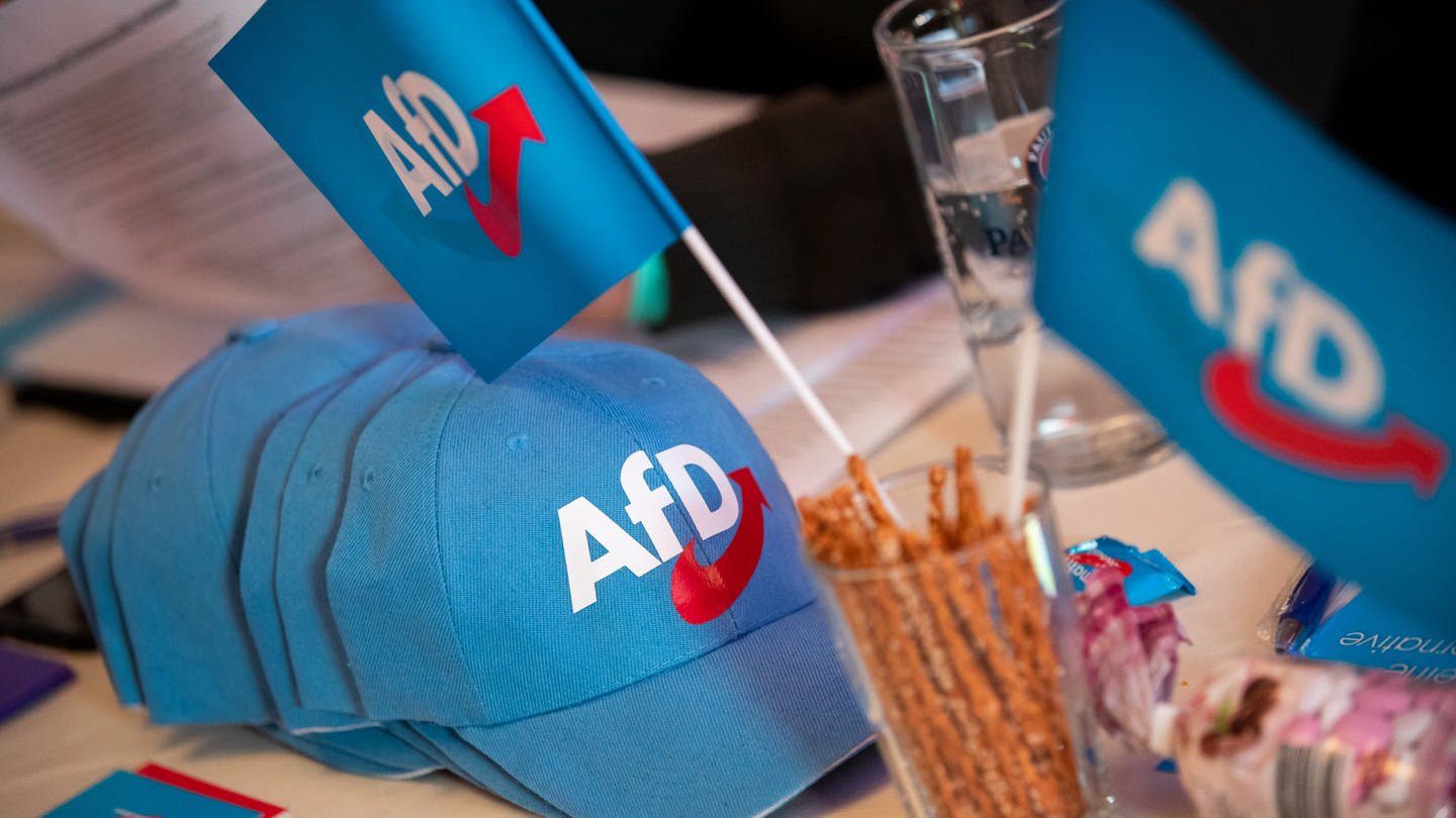 AfD-Werbeartikel - Kappen und Fahnen (Foto: dpa Bildfunk, Picture Alliance)