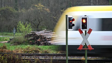 Wegen eines Blitzeinschlags in einen Baum neben der Bahnstrecke bei Aalen, musste ein Zug am Montagnachmittag (25.7.2022) eine Schnellbremsung einleiten (Symbolbild).   (Foto: dpa Bildfunk, picture alliance/Felix Kästle/dpa)