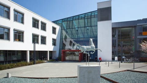 Personalmangel in der Kinderklinik in Ulm (Foto: Pressestelle, Uniklinikum Ulm)