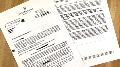 Formular des Finanzamtes Ulm: Grundsteuer-Reform stellt Finanzamt und Grundstücksbesitzer vor große Probleme (Foto: SWR, P. Volz)