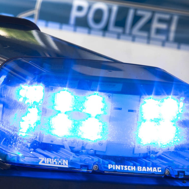 Blaulicht vor einem Polizeiauto (Foto: dpa Bildfunk, picture alliance /dpa / Friso Gentsch)