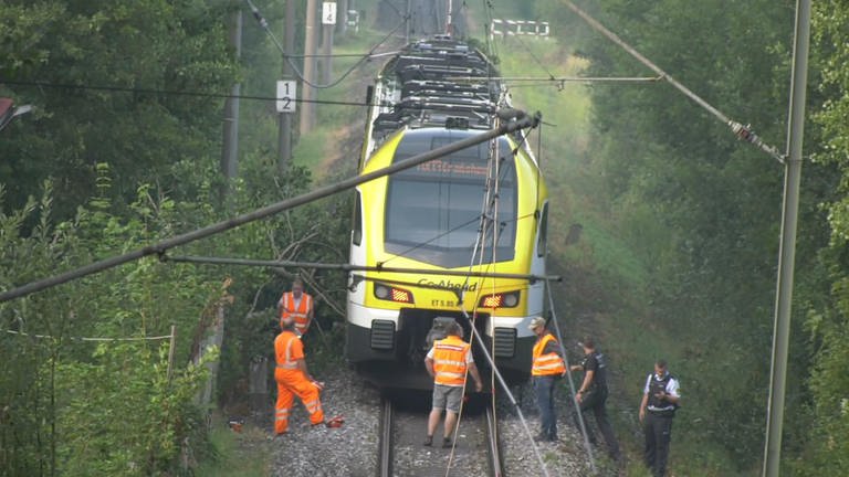 Zug fährt in der Nähe von Aalen gegen einen Baum (Foto: Medienversand | onw-images)