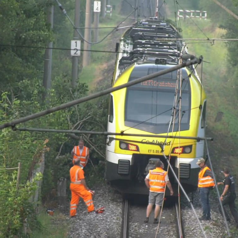 Zug fährt in der Nähe von Aalen gegen einen Baum (Foto: Medienversand | onw-images)