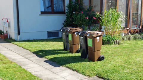 Mit der Umstellung der Müllentsorgung bekommen alle Haushalte im Alb-Donau-Kreis neue Tonnen. (Foto: Abfallwirtschaft Alb-Donau-Kreis)