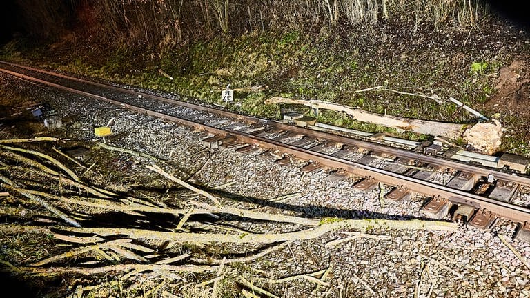 Brenzbahn hat am Montagabend naheHermaringen (Kreis Heidenheim) einen Baum überfahren, der auf die Gleise gestürzt war. (Foto: Markus Brandhuber)