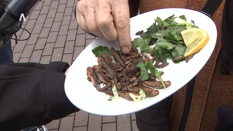 Ein Teller mit Salat, Heuschrecken und Heimchen: Menschen in der Ulmer Fußgängerzone verkosten gerillte Insekten. (Foto: SWR, Anja Müller)