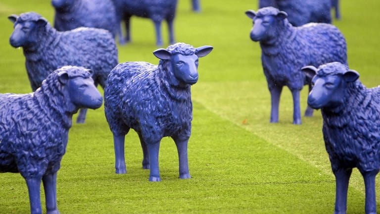 Erneut ist in Nördlingen ein blaues Schaf gestohlen worden. Es stand mit vier weiteren auf einem Firmengelände. Mit der blauen Schaf-Herde zieht das Aktionskünstlerpaar Reetz und Bonk seit mehreren Jahren durch Europa.  (Foto: dpa Bildfunk, picture alliance / dpa | Fredrik Von Erichsen)