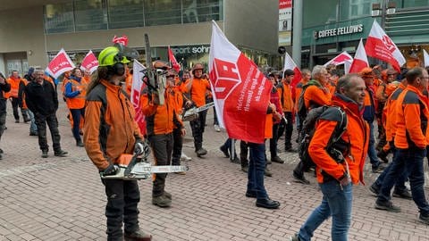 Ver.di-Warnstreik und Kundgebung auf Ulmer Münsterplatz um Tarifstreit im Öffentlichen Dienst (Foto: SWR, Peter Schmid)