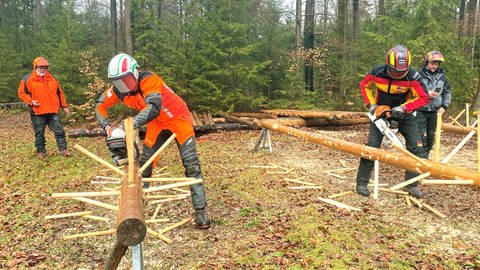Waldarbeiter-Weltmeisterschaft in Königsbronn-Ochsenberg im Landkreis Heidenheim (Foto: SWR, Hannah Schulze)