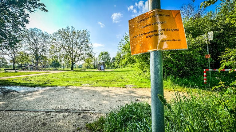 Am Badesee im Neu-Ulmer Stadtteil Ludwigsfeld stehen Warnschilder, das auf ein Fischsterben hinweist, und vorerst dort nicht mehr gebadet werden soll.  (Foto: SWR, Volker Wüst)