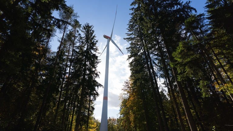 Seit 2021 hat ForstBW rund 7.000 Hektar Staatswaldflächen für Windräder angeboten.103 Windkraftanlagen drehen sich bereits. (Symbolbild)