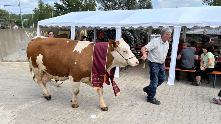 Larissa, die schönste Kuh Deutschlands beim Hoffest in Ellwangen-Rindelbach. Gemeinsam mit Landwirt Josef Hilsenbek.