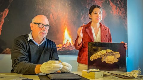 Archäologen um den Tübinger Forscher Nicholas Conard haben am Hohle Fels ein neues Teil für die als "Pferdekopf" bekannte Figur gefunden. Das Stück wurde heute als "Fund des Jahres" im Urgeschichtlichen Museum Blaubeuren vorgestellt.