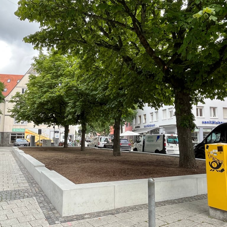 Bäume und eine Fläche zum Bepflanzen: An dieser Stelle in der Ulmer Innenstadt waren bis vor kurzem noch Parkplätze. (Foto: SWR, Maren Haring)