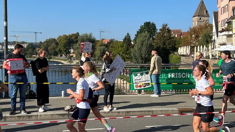 Besucher mit Pappschildern: Auf der Herdbrücke zwischen Ulm und Neu-Ulm feuert das Publikum die Läuferinnen und Läufer des Einstein-Marathons an.  (Foto: SWR, Monika Götz)