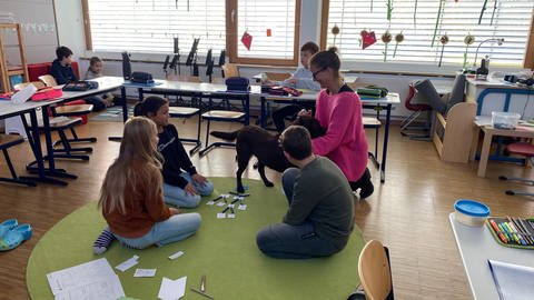 Schulhündin Lotti auf der "Aktionsdecke" - hier hilft sie den Grundschülern beim spielerischen Lernen.  (Foto: SWR, Katja Stolle-Kranz)