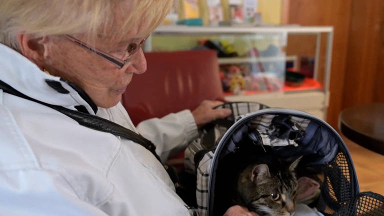 Eine Frau blickt auf eine Katze in einem Katzenkorb. Margarete Burgberg ist glücklich, ihre entlaufene Katze Chira wieder zu haben. Die 13 Jahre alte Katze entwischte im Juli auf dem Weg in den Urlaub auf einem Autobahn-Rastplatz an der A7 bei Heidenheim.