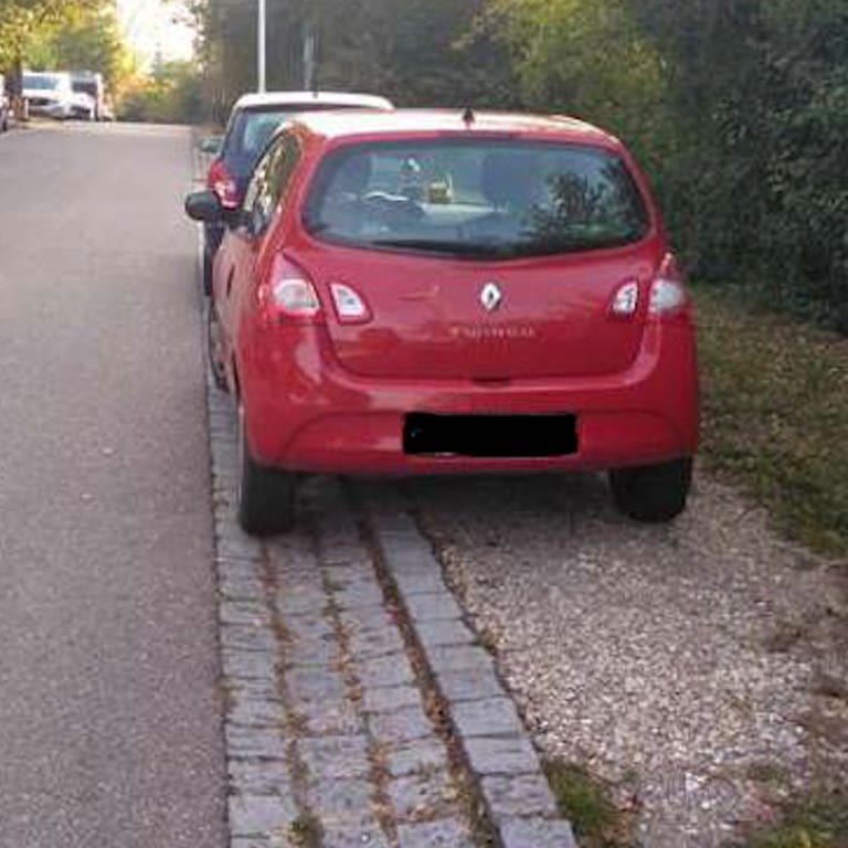 Streit um Strafzettel in Ulm: Ein Auto auf einer Kiesfläche, die die Stadt als Grünstreifen sieht. (Foto: SWR)