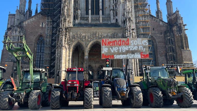 Große Präsenz der Landwirte auch auf dem Ulmer Münsterplatz am Dienstagmittag. 90 Traktoren haben sich versammelt - allerdings nicht auf Initiative des Kreisbauernverbandes. (Foto: SWR, Christine Janke)
