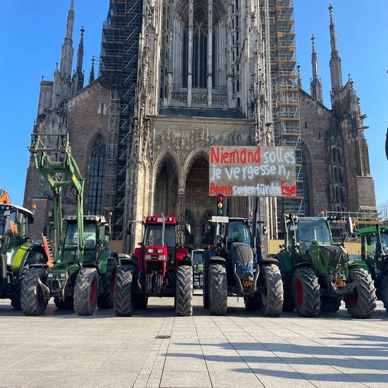 Große Präsenz der Landwirte auch auf dem Ulmer Münsterplatz am Dienstagmittag. 90 Traktoren haben sich versammelt - allerdings nicht auf Initiative des Kreisbauernverbandes. (Foto: SWR, Christine Janke)