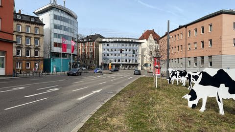 Weniger Platz für Autos in der Münchner Straße in Ulm. Auch am Willy-Brandt-Platz werden die Radfahrer in Zukunft eine Spur in jede Richtung haben.  (Foto: SWR, Maja Nötzel)