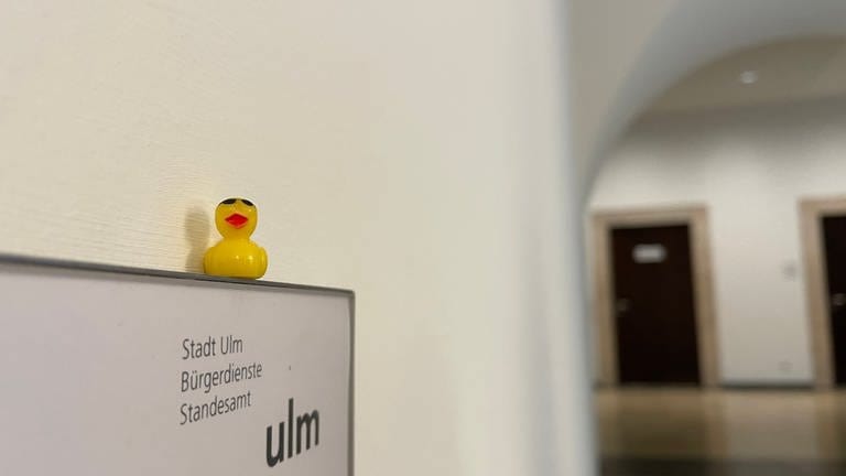 Eine Ente sitzt auf einem Hinweisschild. Egal ob Standesamt, Pressestelle oder Büro des Oberbürgermeisters. Fast auf jedem Hinweisschild findet sich ein Entchen. (Foto: SWR, Jorina Stuber)