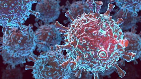 Eine Illustration des Corona-Virus. Auch gegen Corona hoffen die Forschenden der Uniklinik Ulm neue, wirksame Medikamten zu finden (Sujetbild). (Foto: IMAGO, Picture Alliance)
