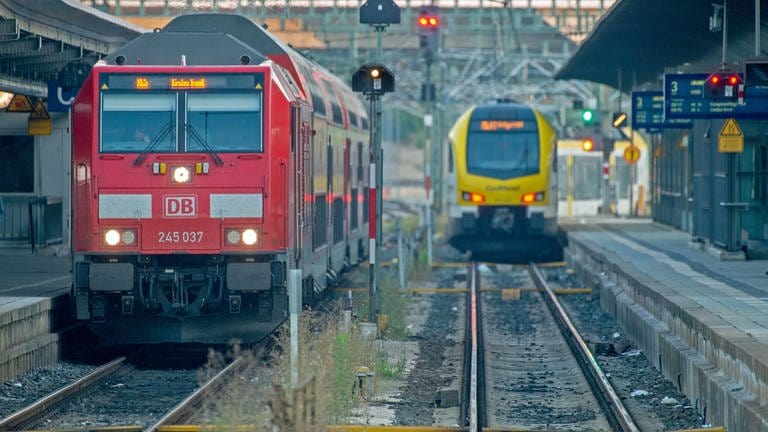 Die Lokführergewerkschaft GDL streikt erneut. So fallen am Hauptbahnhof in Ulm viele Züge der Deutschen Bahn aus. Private Betreiber wie Go Ahead dagegen fahren.