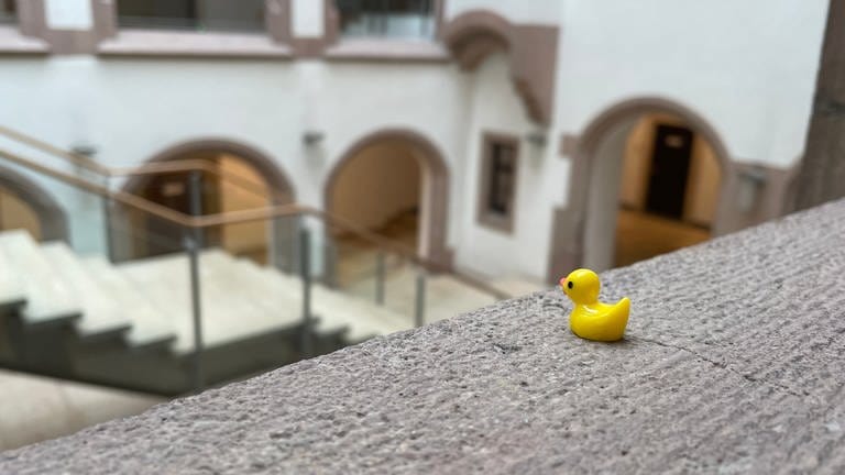 Eine Mini-Ente sitzt auf einem Vorsprung mit Blick über die Eingangshalle des Rathauses. (Foto: SWR, Jorina Stuber)