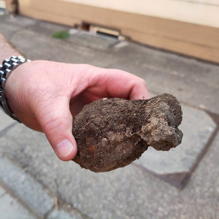 Das findet man nicht jeden Tag im Garten: Ein Heidenheimer hat eine Handgranate unter der Erde entdeckt - und die Polizei verständigt. (Foto: Markus Brandhuber)