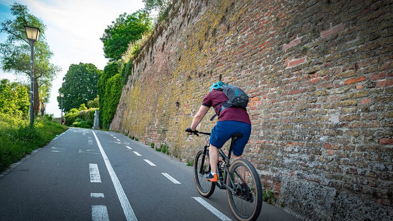 Der Donauradweg zieht jedes Jahr tausende Touristen in die Region. Mittlerweile sind immer mehr von ihnen auch mit einem E-Bike unterwegs. Das hat eine Umfrage eines Verbands in Ulm ergeben.