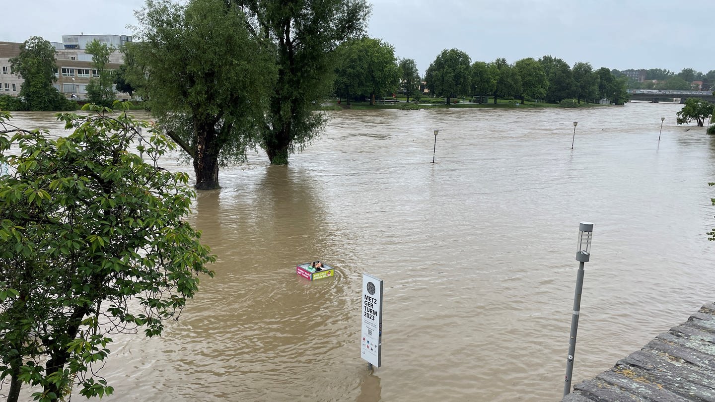 Die Donau ist in Ulm über ihre Ufer getreten und hat die Donauwiese überschwemmt. (Foto: SWR, Stefanie Schmitz)