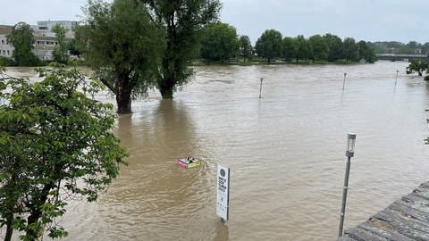 Die Donau ist in Ulm über ihre Ufer getreten und hat die Donauwiese überschwemmt. 