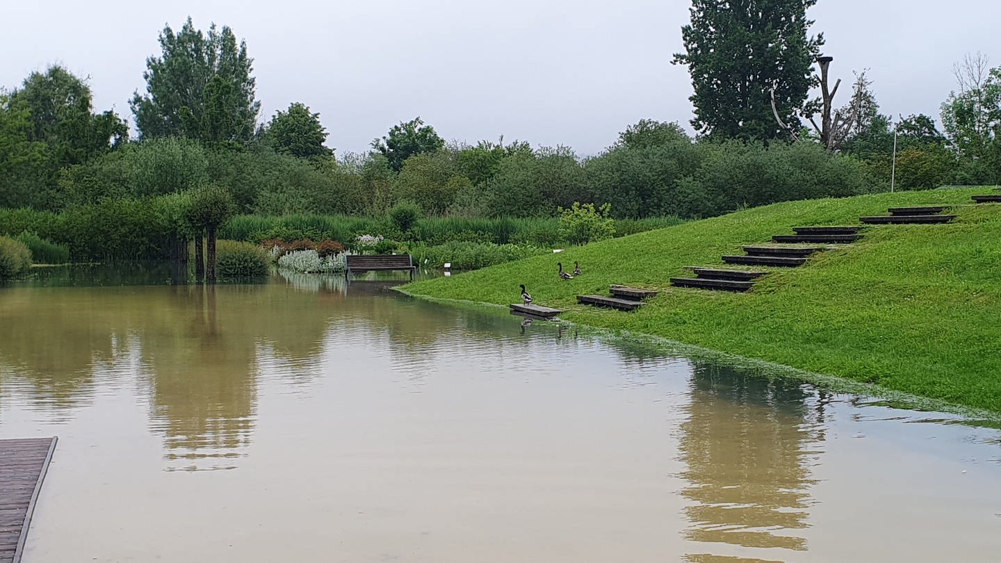 Wegen Überschwemmung geschlossen - außer für Enten: Der Brenzpark Heidenheim ist laut Mitteilung der Stadt wegen Hochwassers geschlossen. (Foto: Stadt Heidenheim)