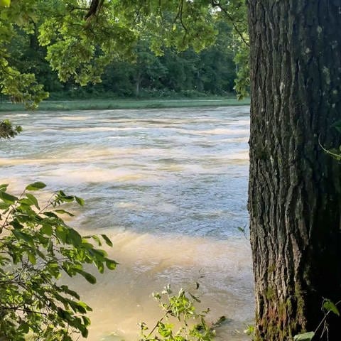 Die Iller auf Höhe des "Silberwald" in Ludwigsfeld, einem Teilort von Neu-Ulm. Eine in einem überschwemmten Wald vermisste Frau ist am Dienstag gefunden geworden. Sie saß 52 Stunden auf einem Baum.
