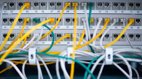 Zahlreiche Netzwerkkabel stecken in einem Büro-Serverschrank. (Foto: dpa Bildfunk, picture alliance/dpa/dpa-Zentralbild | Jens Büttner)