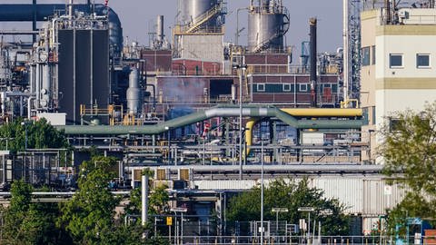 Industrieanlagen auf dem Werksgeländer des Chemiekonzerns BASF (Foto: dpa Bildfunk, Foto: Uwe Anspach)