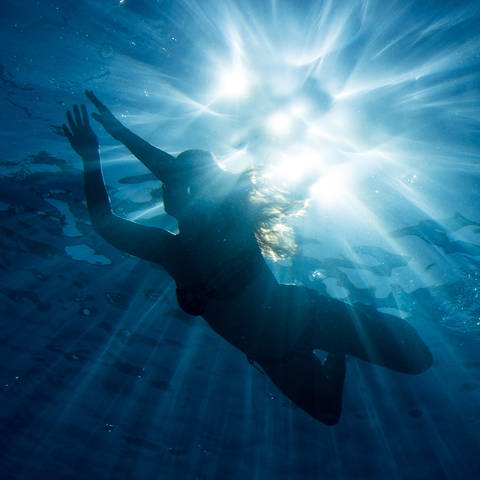 Ein Frau schwimmt bei strahlendem Sonnenschein im Freibad. Man sieht aus der Tiefe fotografiert nur ihre Silhouette. (Foto: dpa Bildfunk, picture alliance/dpa | Axel Heimken)