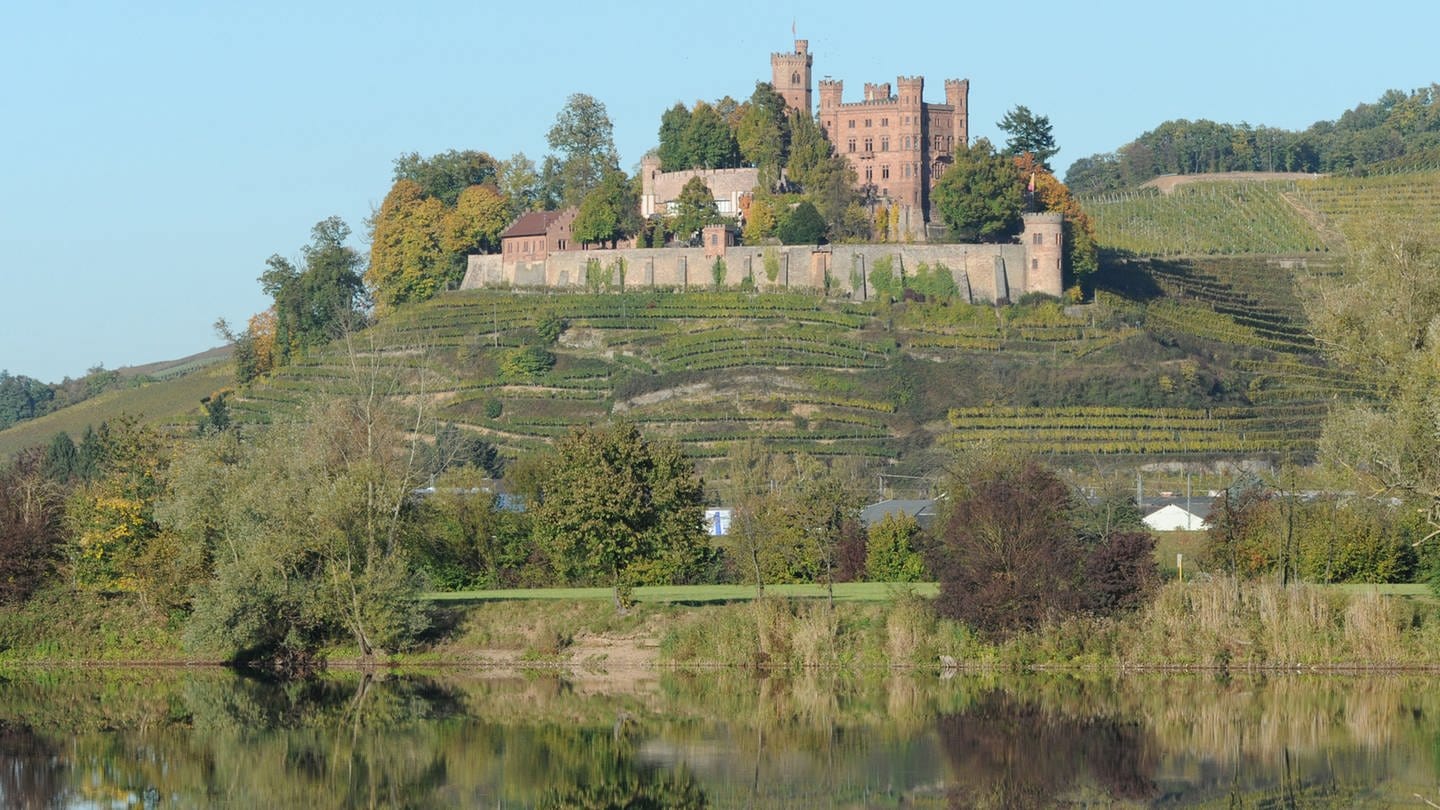 as Schloss Ortenberg spiegelt sich am Mittwoch  in einem See (Foto: dpa Bildfunk, picture-alliance / Reportdienste, picture alliance / dpa | Patrick Seeger)