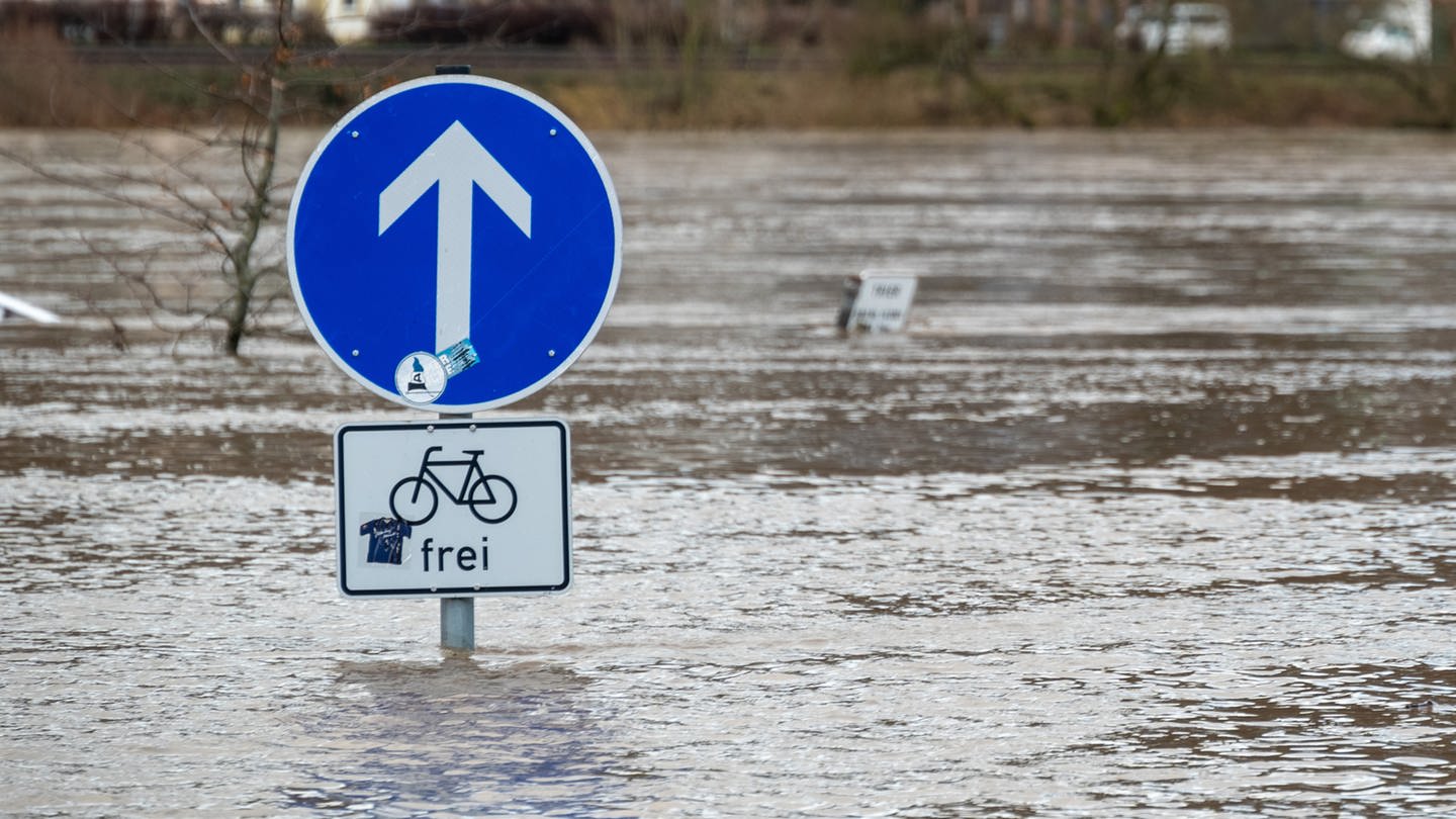 Hochwasserschutz am Mainzer Zollhafen erfolgreich getestet - SWR Aktuell
