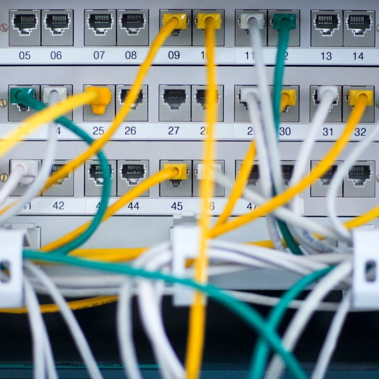 Zahlreiche Netzwerkkabel stecken in einem Büro-Serverschrank. (Foto: dpa Bildfunk, picture alliance/dpa/dpa-Zentralbild | Jens Büttner)