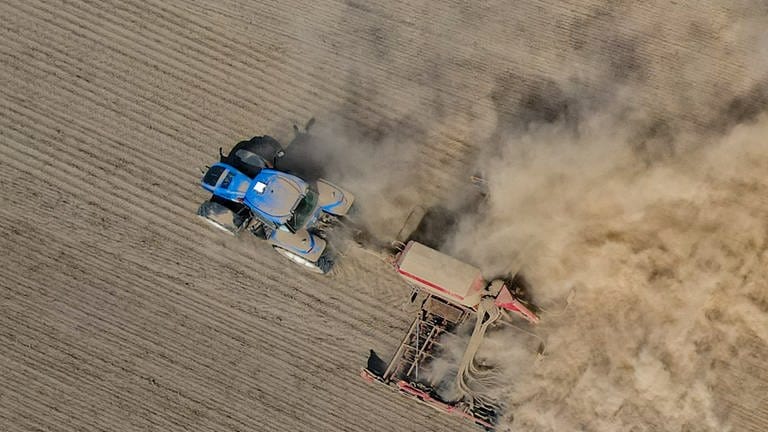 Ein Landwirt fährt mit einem Traktor und einer Drille über den trocken Ackerboden und bringt Rapssaat in den Boden. (Foto: dpa Bildfunk, picture alliance/dpa | Patrick Pleul)