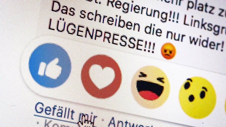 "Lügenpresse-Post" im Netz - mit einem Like-Button (Foto: IMAGO, IMAGO / photothek)