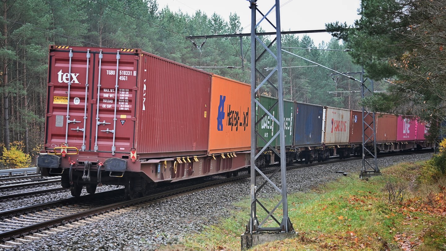 Ein Güterzug fährt in den Wald (Foto: dpa Bildfunk, picture alliance/dpa/dpa-Zentralbild | Soeren Stache)
