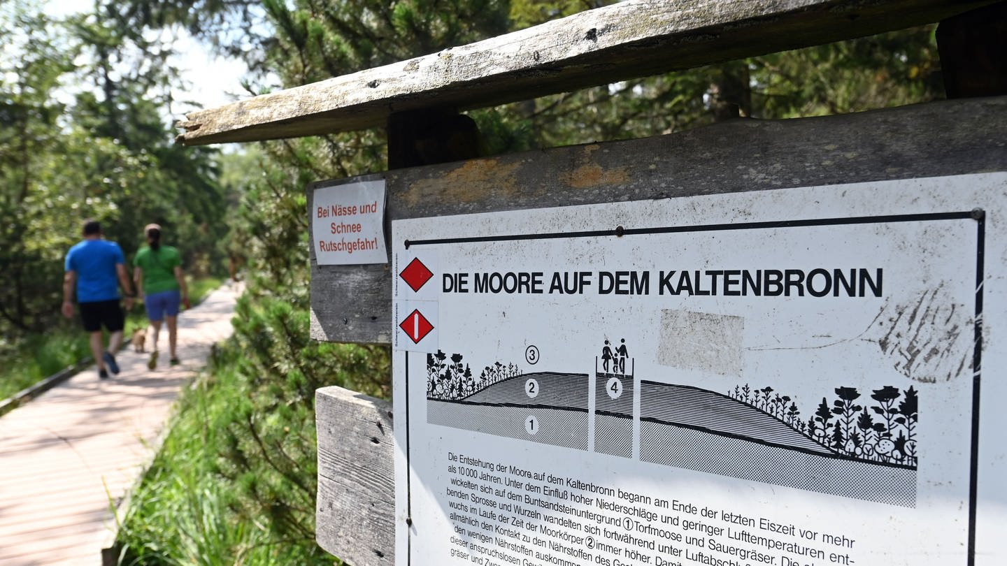 Eine Hinweistafel im Naturschutzgebiet Kaltenbronn informiert über die dortigen Moore. Zu lesen ist: 
