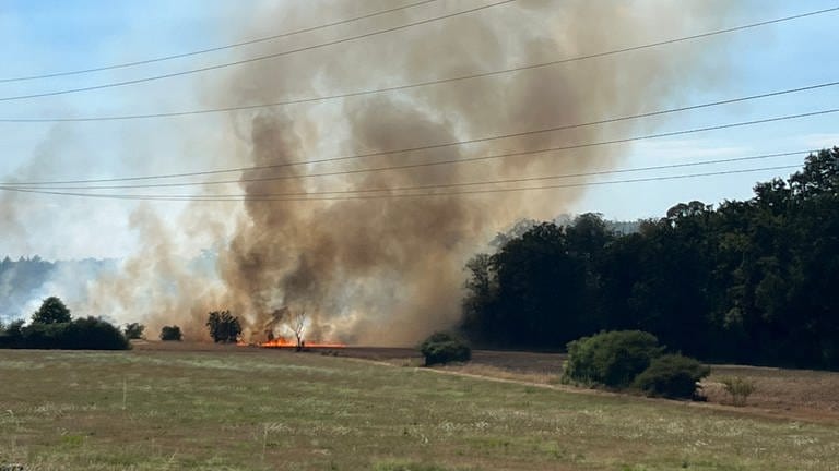 Eine große Rauchwolke steht über einem Feld. (Foto: dpa Bildfunk, picture alliance/dpa/Einsatz-Report24 | Markus Rott)