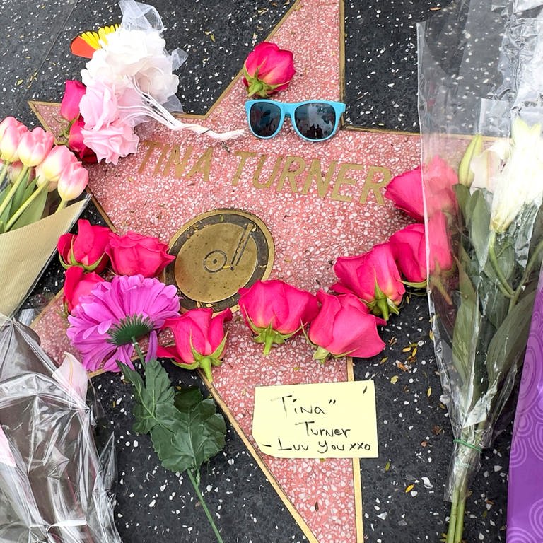Blumen und Ehrungen auf Tina Turners Stern auf dem Hollywood Walk of Fame. (Foto: dpa Bildfunk, picture alliance/dpa/AP | Rick Taber)