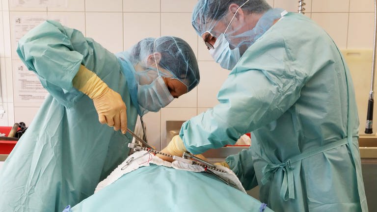 Zwei Mediziner stehen über einem Menschen und operieren im Brustbereich am Herzen. (Foto: dpa Bildfunk, picture alliance/dpa/dpa-Zentralbild | Bernd Wüstneck)