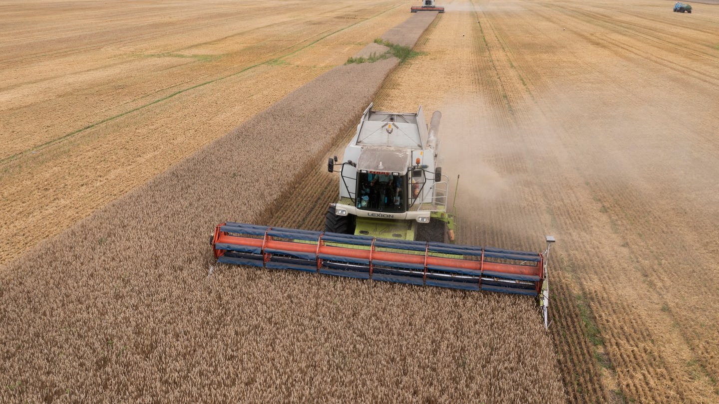 Das Getreideabkommen über den Export von ukrainischem Weizen läuft heute aus (Foto: dpa Bildfunk, picture alliance/dpa/AP | Efrem Lukatsky)