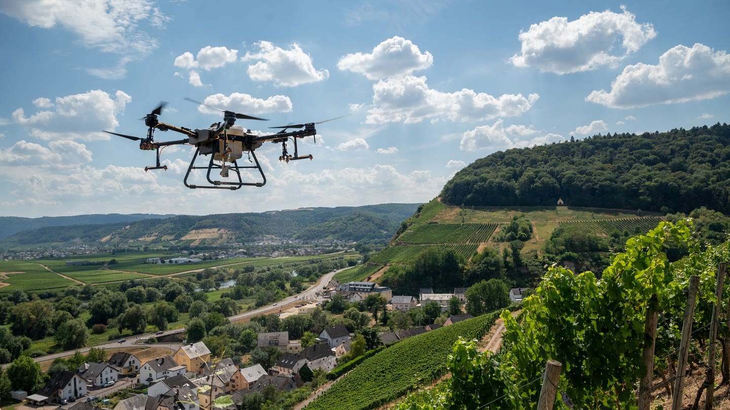Eine Drohne schwebt über einem Weinberg. (Foto: dpa Bildfunk, picture alliance/dpa | Harald Tittel)